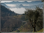 foto Colline Marosticane nella Nebbia